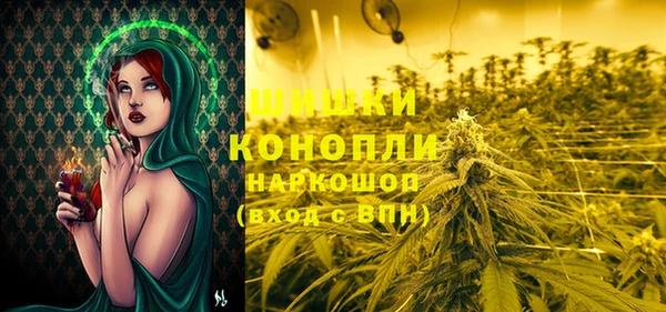 каннабис Аркадак