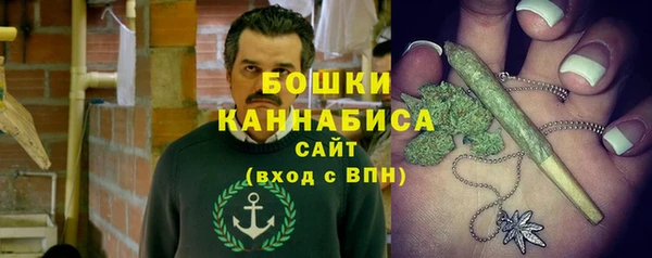 прущие крисы Арсеньев