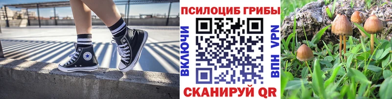 Псилоцибиновые грибы Cubensis  Тавда 